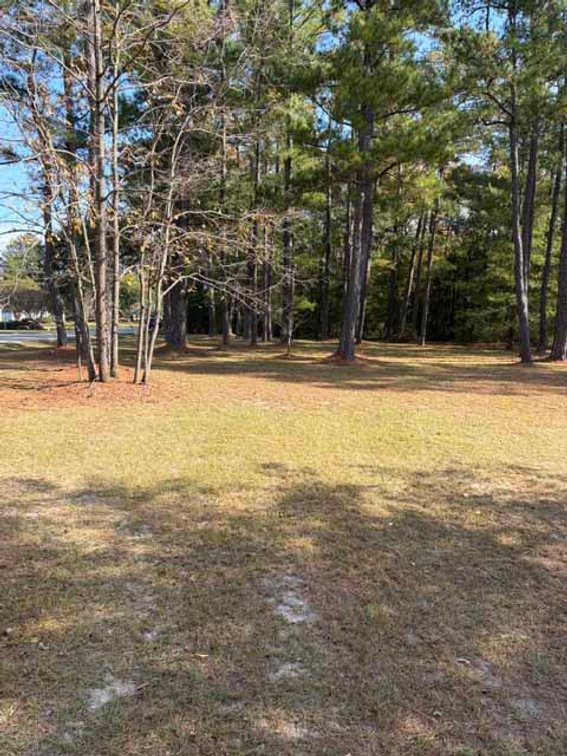 Image for Ranch Style home in Wayne County and 4+ acres divided!