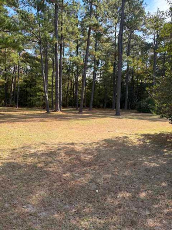 Image for Ranch Style home in Wayne County and 4+ acres divided!