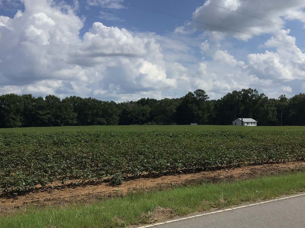 Image for 3 Homes, 48+/- acres divided into 9 tracts with Harnett County Water and Sewer! Live / Online / Simulcast Auction held at JP Headquarters!