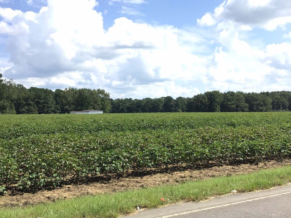 Image for 3 Homes, 48+/- acres divided into 9 tracts with Harnett County Water and Sewer! Live / Online / Simulcast Auction held at JP Headquarters!