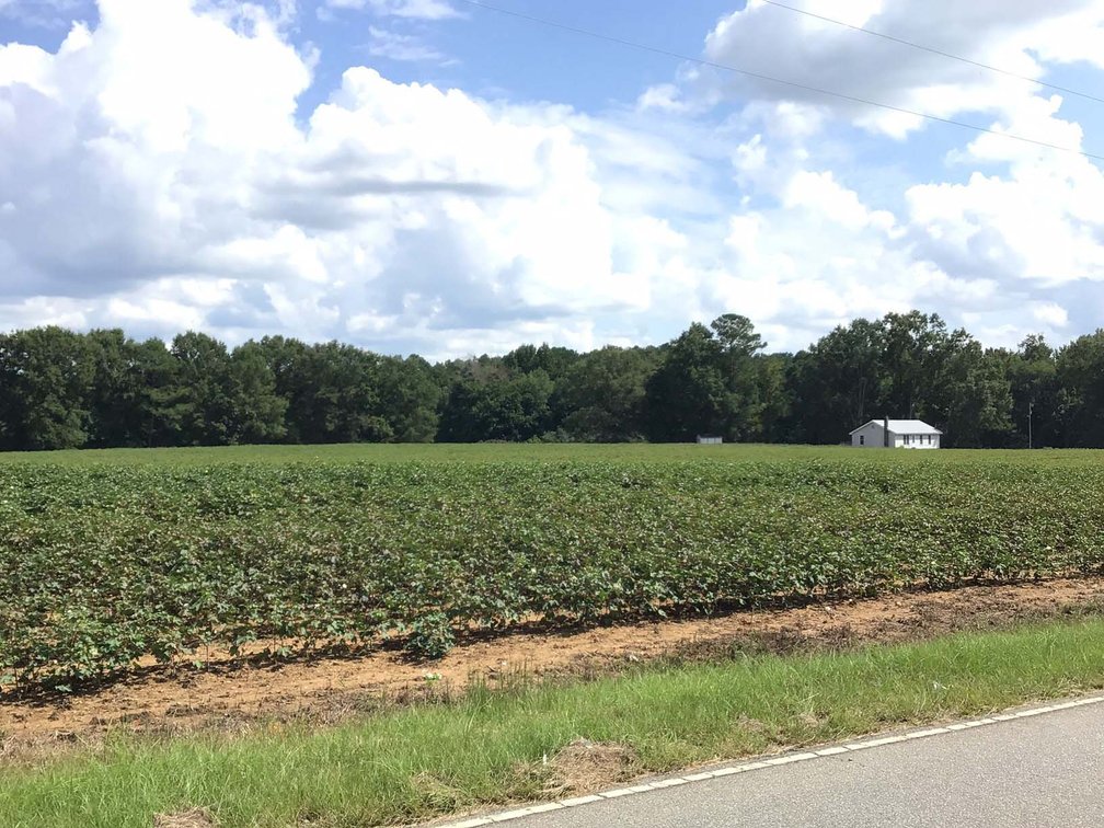 Image for 3 Homes, 48+/- acres divided into 9 tracts with Harnett County Water and Sewer! Live / Online / Simulcast Auction held at JP Headquarters!
