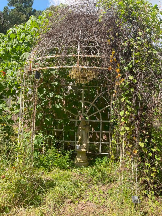 Image for Lots of Furniture, Outside Chairs, and more from a Local Wedding Venue selling at Absolute Auction in this Online Only Event