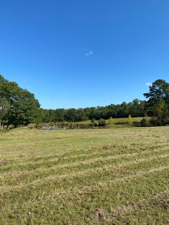 Image for 46+ Acres Divided into 9 tracts, a Super Home with over 2 acres in Harnett County, NC!  Online / Live / Simulcast Auction Held at the JP Headquarters in Angier!