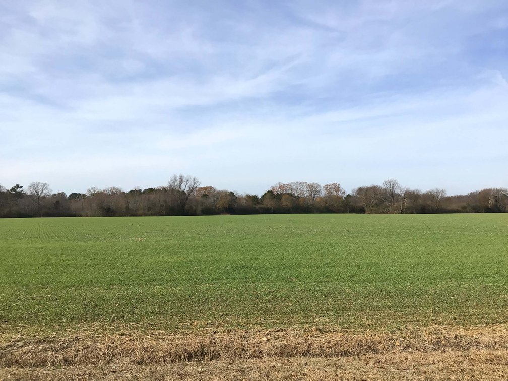 Image for Two Gorgeous Farms in Cumberland County with a Total of 193.27 Acres