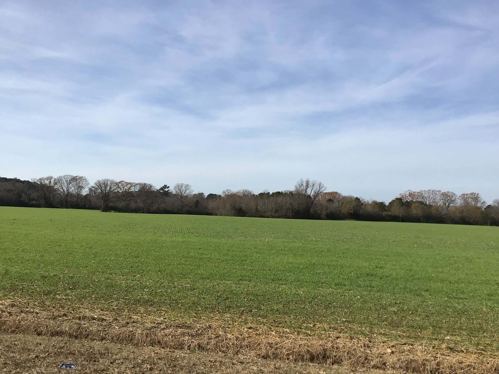 Image for Two Gorgeous Farms in Cumberland County with a Total of 193.27 Acres