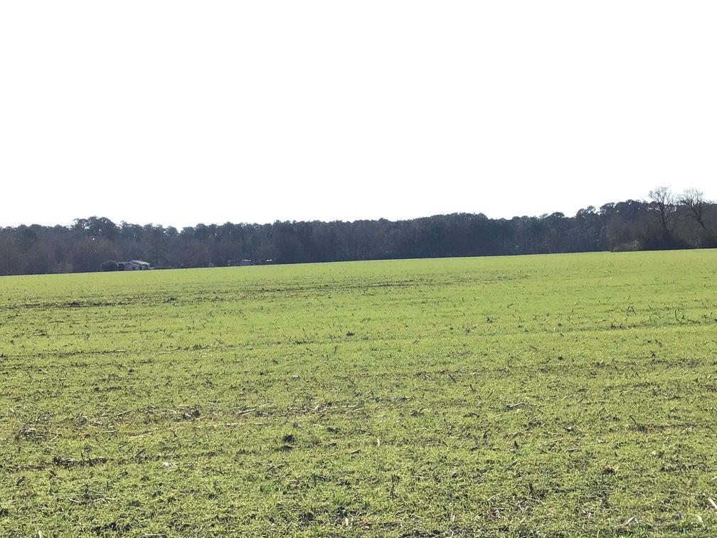 Image for Two Gorgeous Farms in Cumberland County with a Total of 193.27 Acres