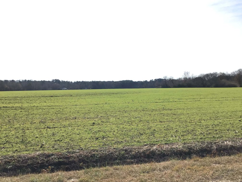 Image for Two Gorgeous Farms in Cumberland County with a Total of 193.27 Acres