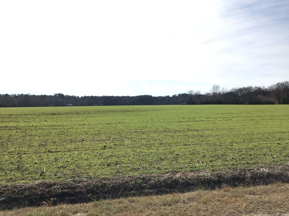 Image for Two Gorgeous Farms in Cumberland County with a Total of 193.27 Acres