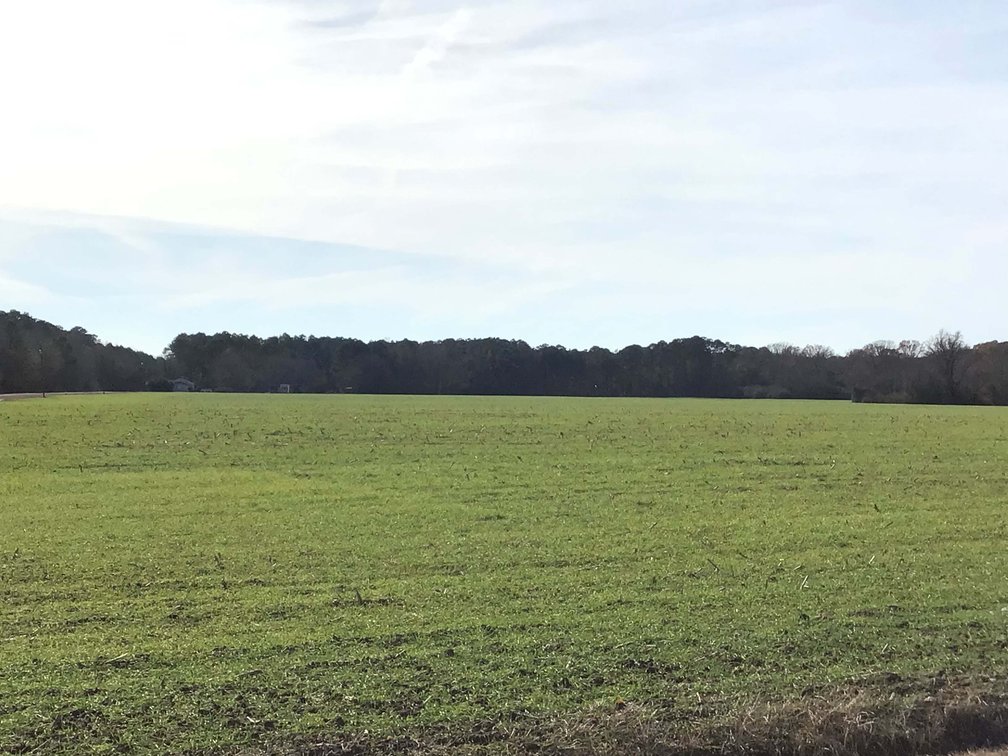 Image for Two Gorgeous Farms in Cumberland County with a Total of 193.27 Acres