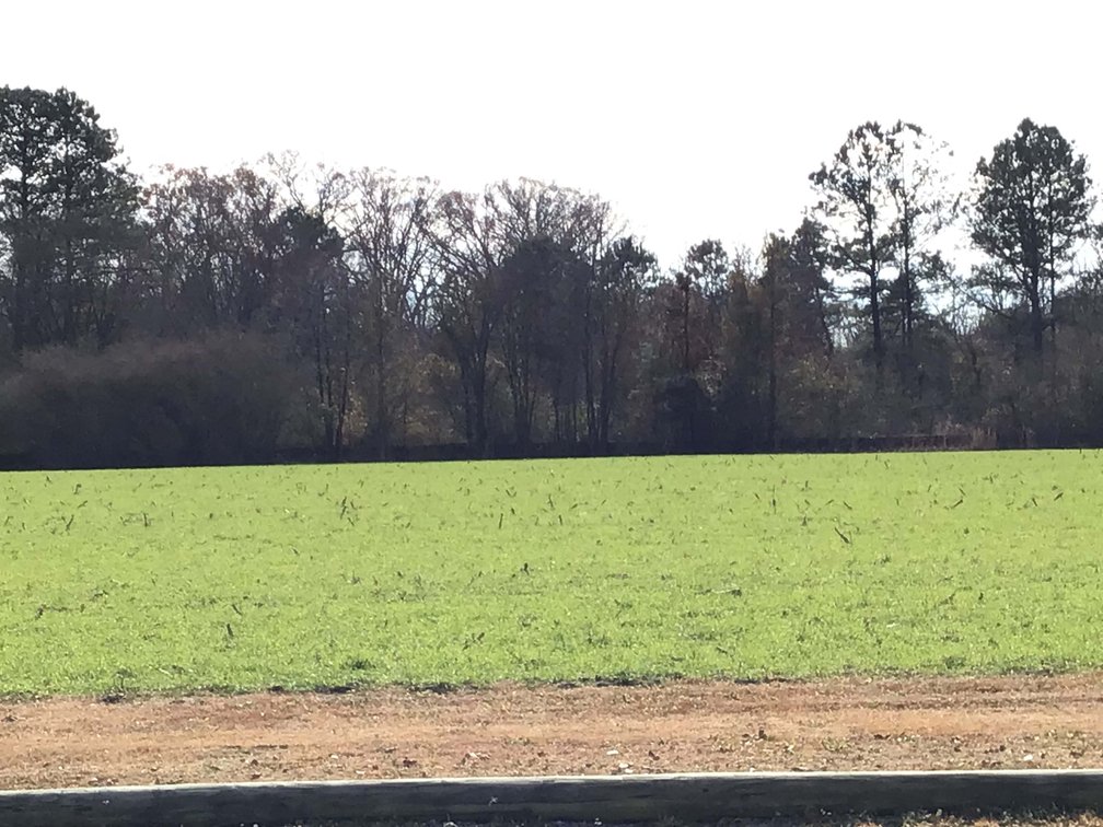 Image for Two Gorgeous Farms in Cumberland County with a Total of 193.27 Acres