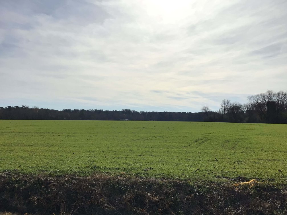 Image for Two Gorgeous Farms in Cumberland County with a Total of 193.27 Acres