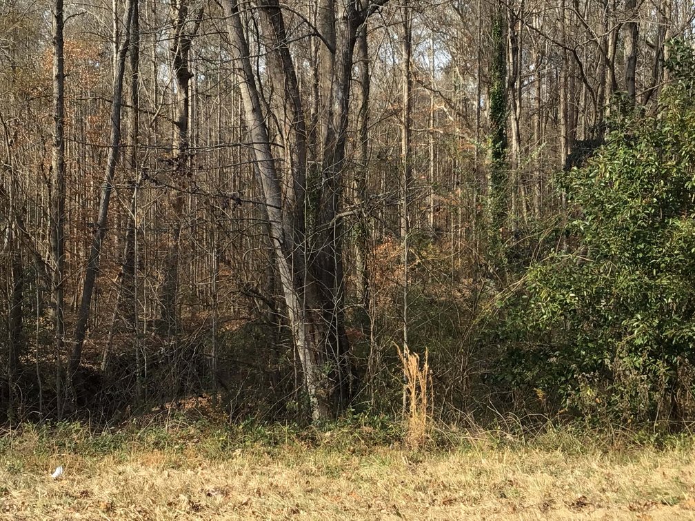 Image for Two Gorgeous Farms in Cumberland County with a Total of 193.27 Acres