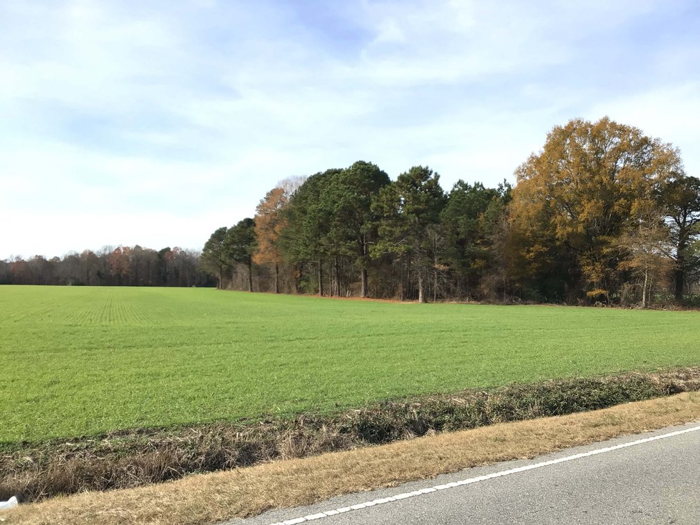 Image for Two Gorgeous Farms in Cumberland County with a Total of 193.27 Acres