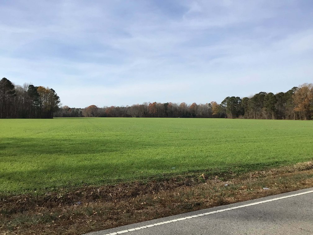 Image for Two Gorgeous Farms in Cumberland County with a Total of 193.27 Acres