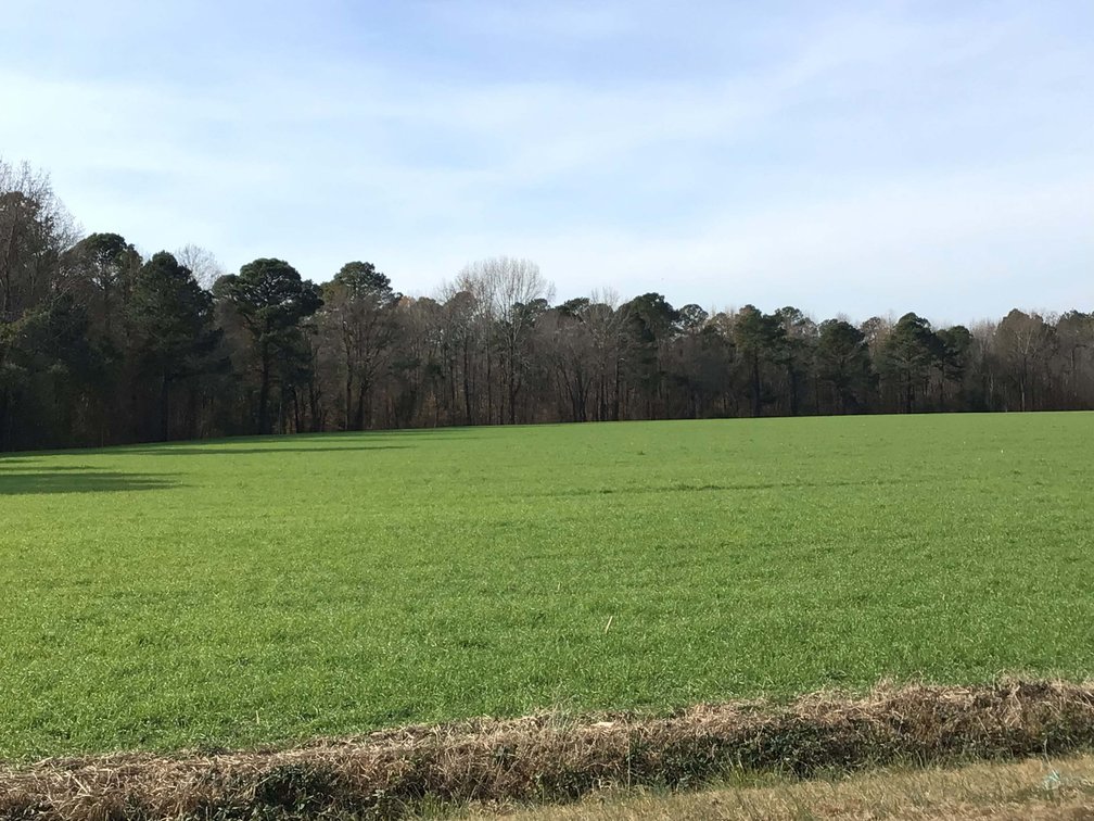 Image for Two Gorgeous Farms in Cumberland County with a Total of 193.27 Acres