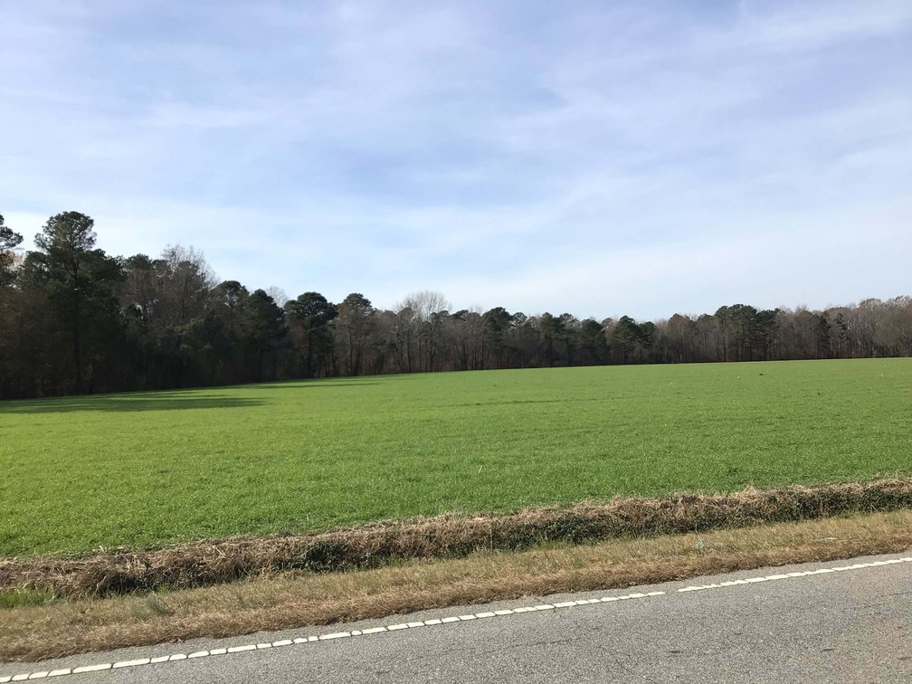 Image for Two Gorgeous Farms in Cumberland County with a Total of 193.27 Acres