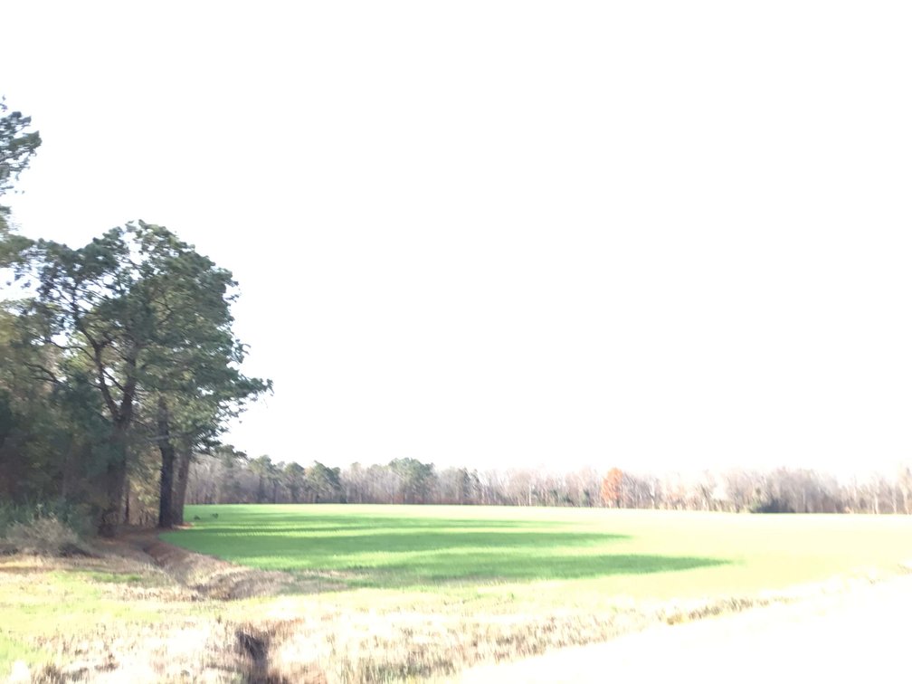 Image for Two Gorgeous Farms in Cumberland County with a Total of 193.27 Acres