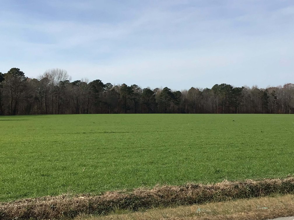 Image for Two Gorgeous Farms in Cumberland County with a Total of 193.27 Acres