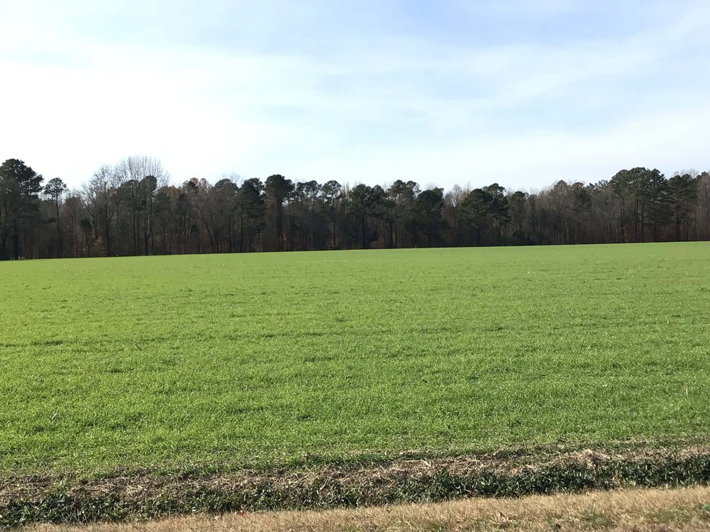 Image for Two Gorgeous Farms in Cumberland County with a Total of 193.27 Acres