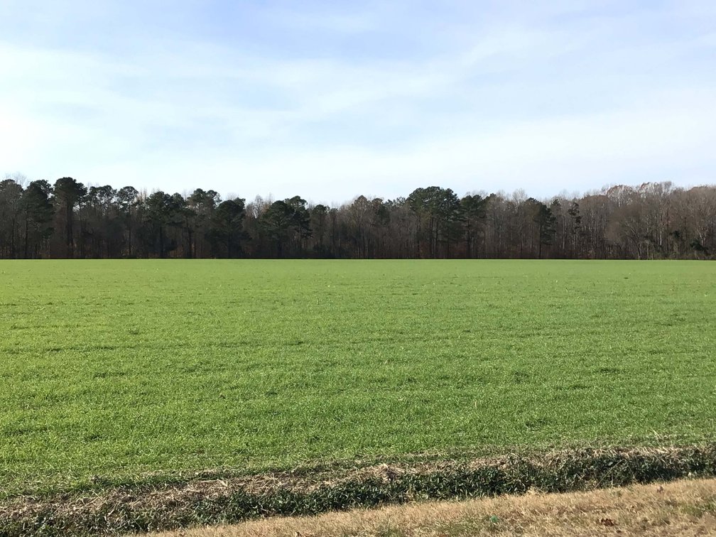 Image for Two Gorgeous Farms in Cumberland County with a Total of 193.27 Acres
