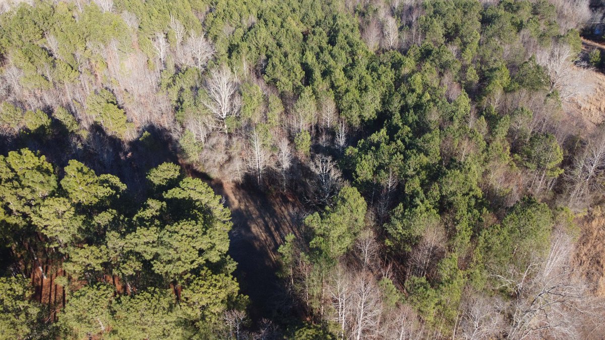 Image for 46+ Acres Divided into 9 tracts, a Super Home with over 2 acres in Harnett County, NC!  Online / Live / Simulcast Auction Held at the JP Headquarters in Angier!