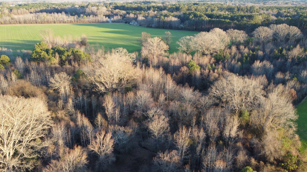 Image for Two Gorgeous Farms in Cumberland County with a Total of 193.27 Acres