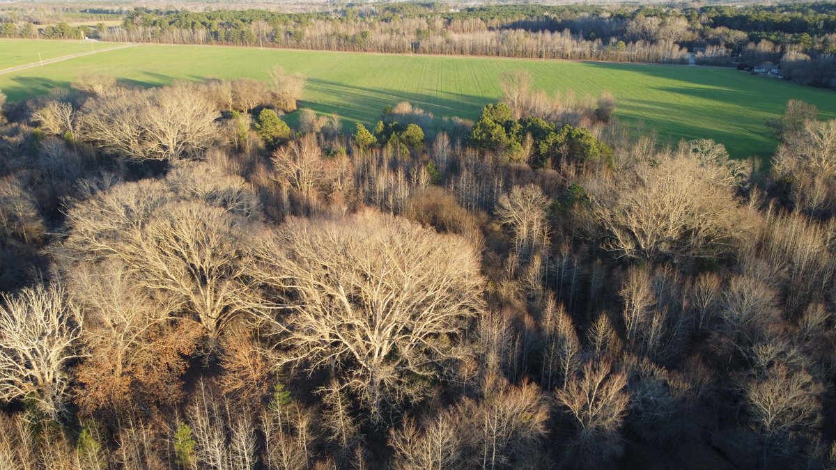 Image for Two Gorgeous Farms in Cumberland County with a Total of 193.27 Acres