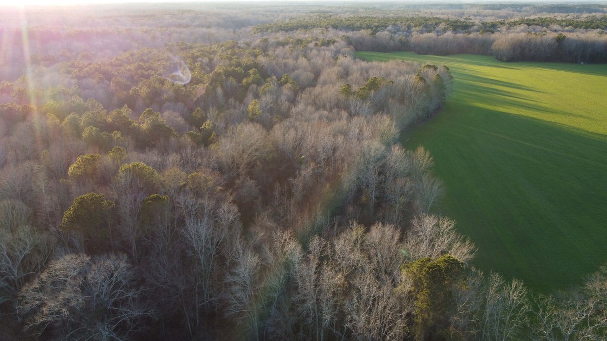 Image for Two Gorgeous Farms in Cumberland County with a Total of 193.27 Acres