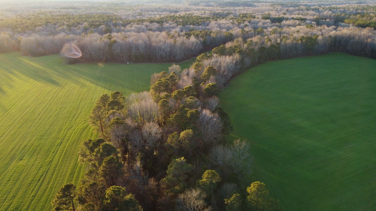 Image for Two Gorgeous Farms in Cumberland County with a Total of 193.27 Acres