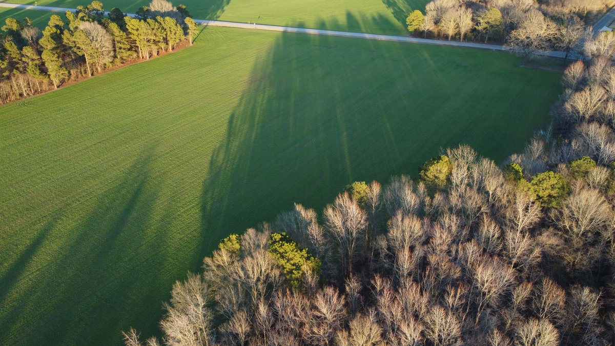 Image for Two Gorgeous Farms in Cumberland County with a Total of 193.27 Acres