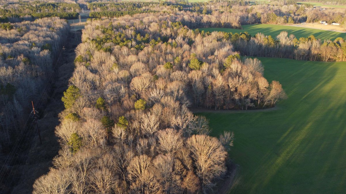 Image for Two Gorgeous Farms in Cumberland County with a Total of 193.27 Acres