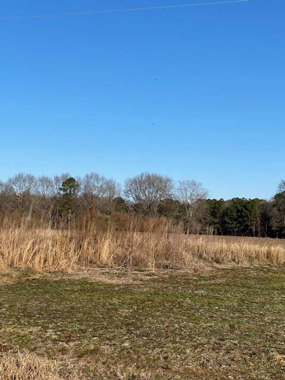Image for 3 Homes, 48+/- acres divided into 9 tracts with Harnett County Water and Sewer! Live / Online / Simulcast Auction held at JP Headquarters!
