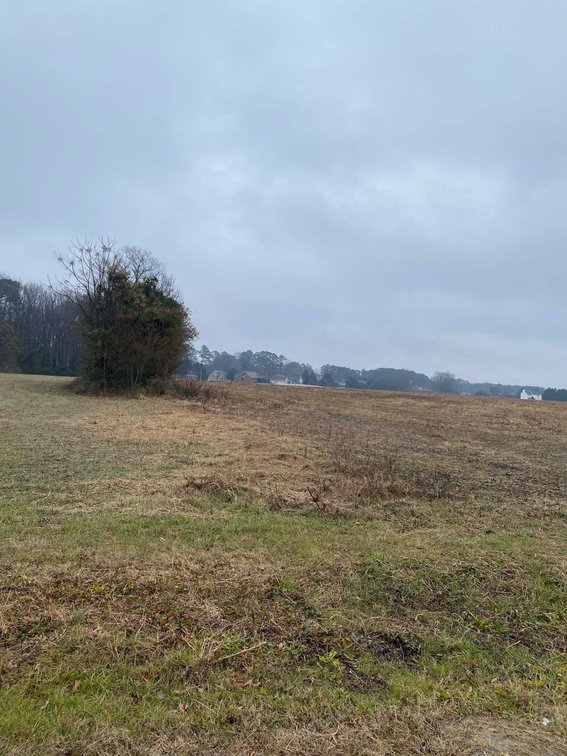 Image for Beautiful 10 Acre Tract in Dunn