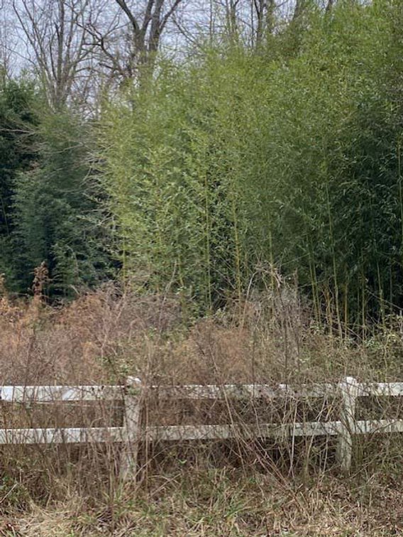 Image for 75+/- Acres in Johnston County Online/Live/Simulcast April Multi-Parcel Auction!