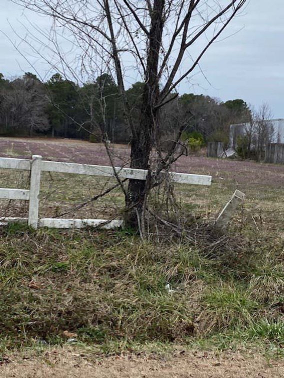 Image for 75+/- Acres in Johnston County Online/Live/Simulcast April Multi-Parcel Auction!