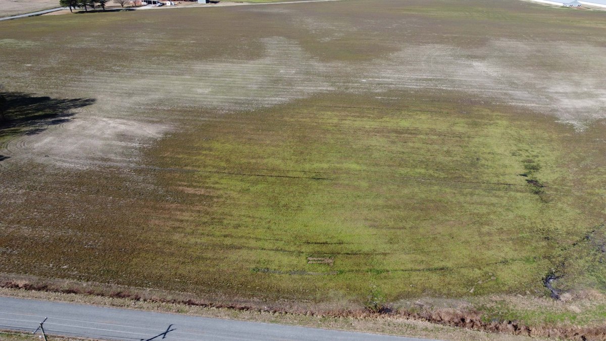 Image for 128 +/- Acres in Duplin County!