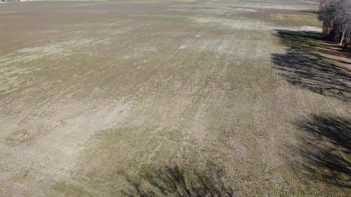 Image for 128 +/- Acres in Duplin County!