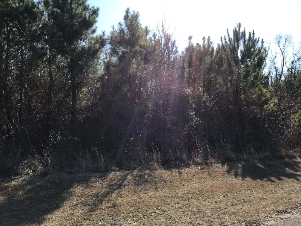 Image for 55+/- acres off Bowdens Rd Duplin County!