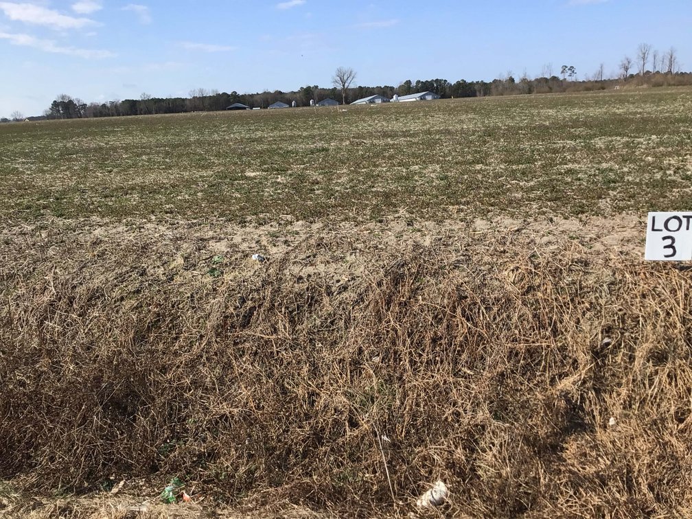Image for 128 +/- Acres in Duplin County!