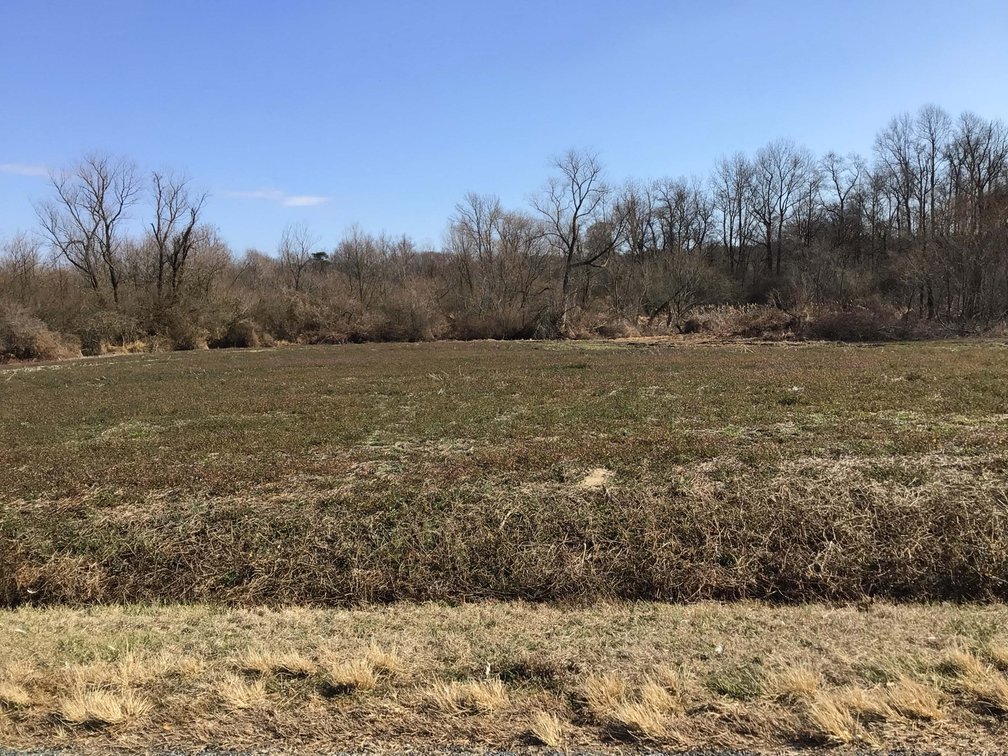 Image for 128 +/- Acres in Duplin County!