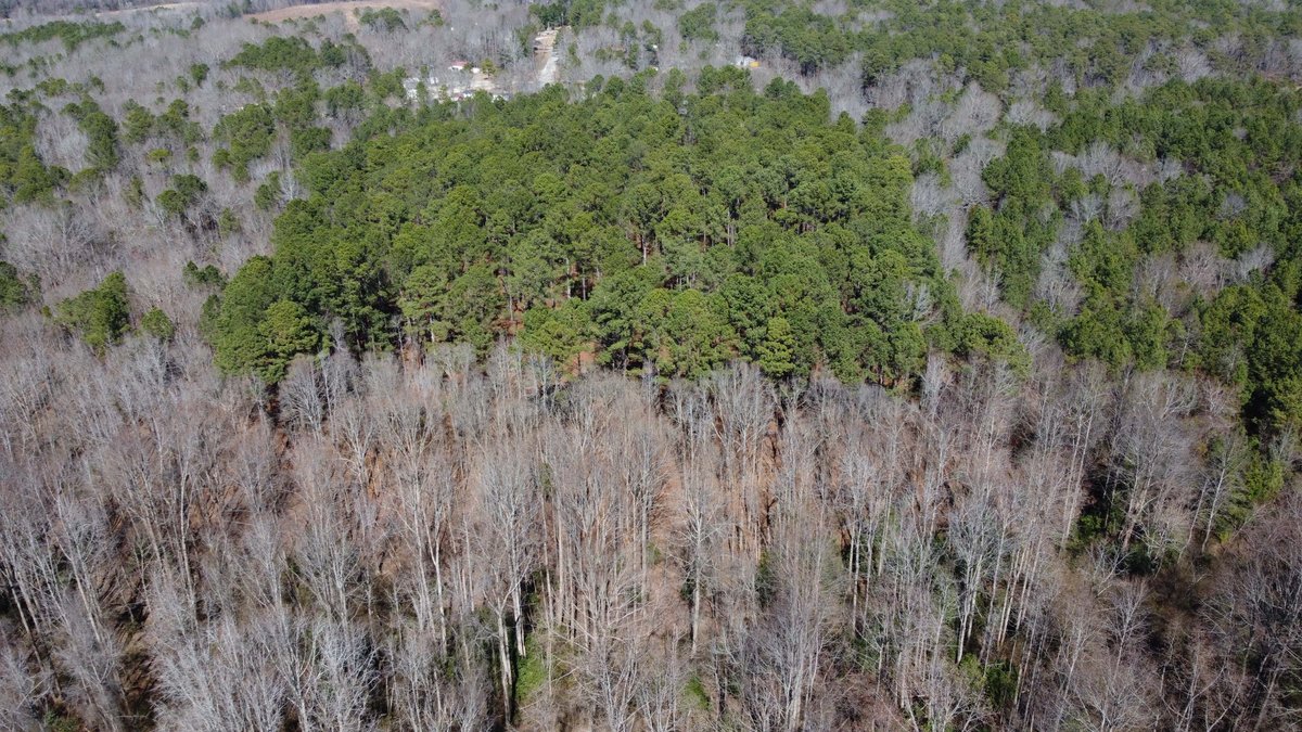 Image for 75+/- Acres in Johnston County Online/Live/Simulcast April Multi-Parcel Auction!