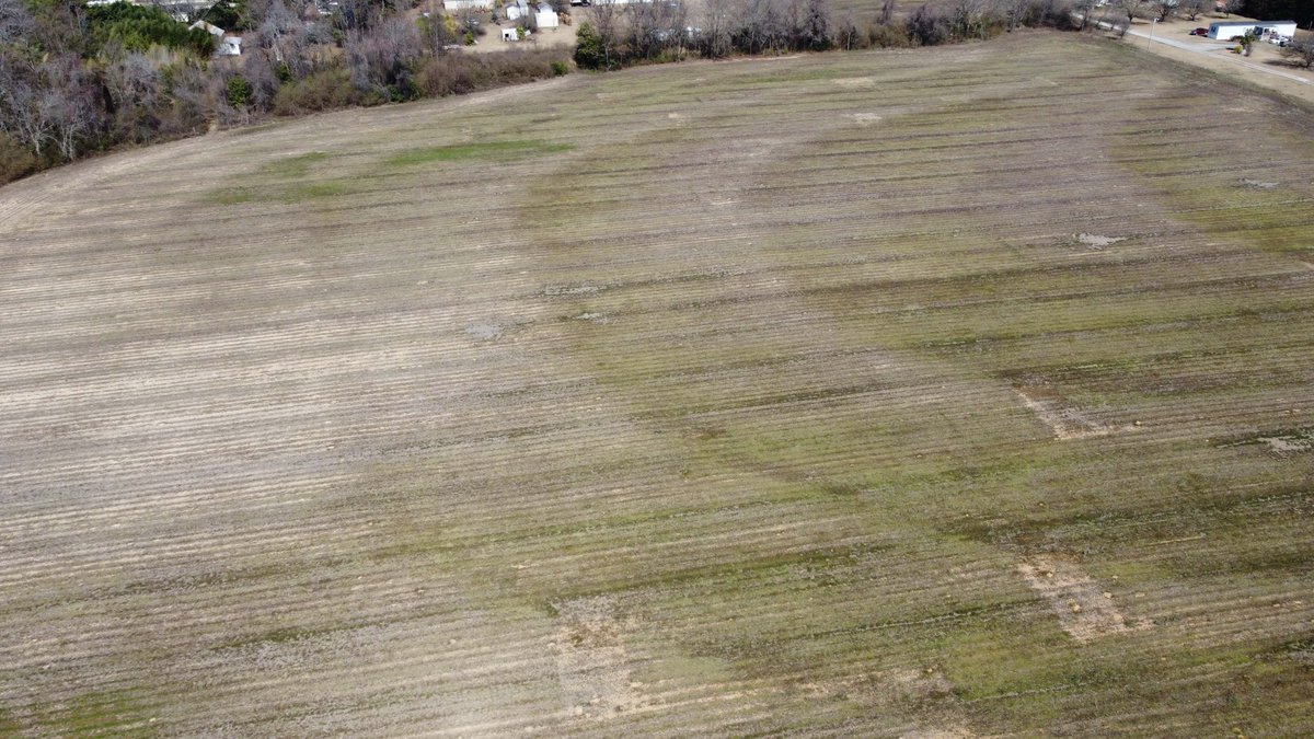 Image for 75+/- Acres in Johnston County Online/Live/Simulcast April Multi-Parcel Auction!