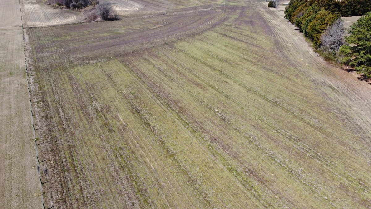 Image for 75+/- Acres in Johnston County Online/Live/Simulcast April Multi-Parcel Auction!