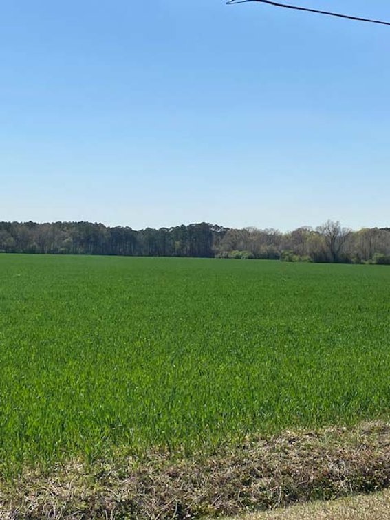 Image for Two Gorgeous Farms in Cumberland County with a Total of 193.27 Acres