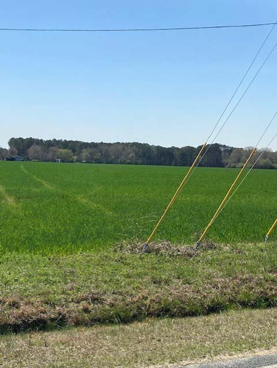 Image for Two Gorgeous Farms in Cumberland County with a Total of 193.27 Acres