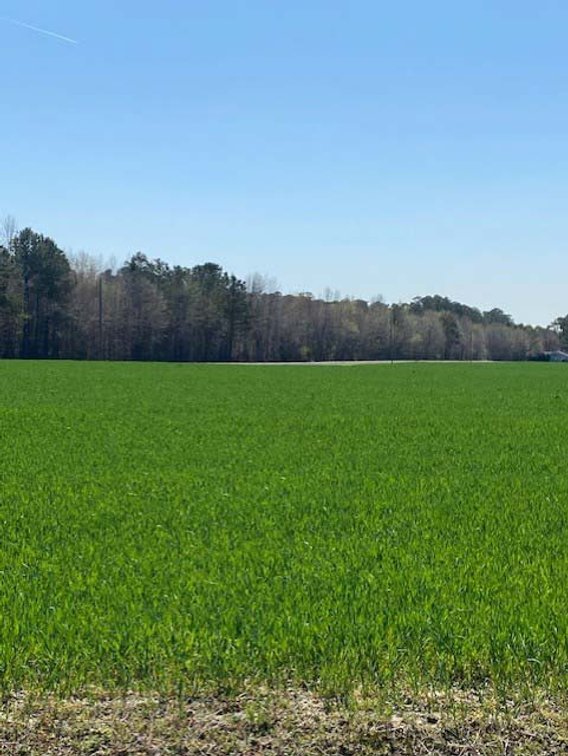 Image for Two Gorgeous Farms in Cumberland County with a Total of 193.27 Acres