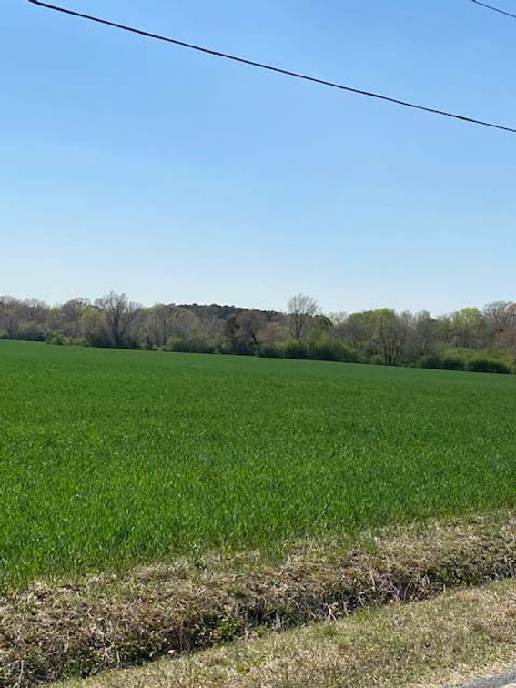 Image for Two Gorgeous Farms in Cumberland County with a Total of 193.27 Acres