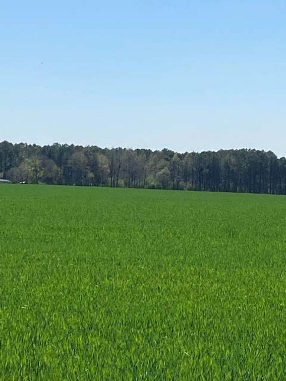 Image for Two Gorgeous Farms in Cumberland County with a Total of 193.27 Acres