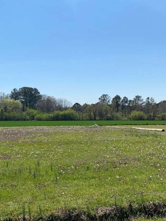 Image for Two Gorgeous Farms in Cumberland County with a Total of 193.27 Acres