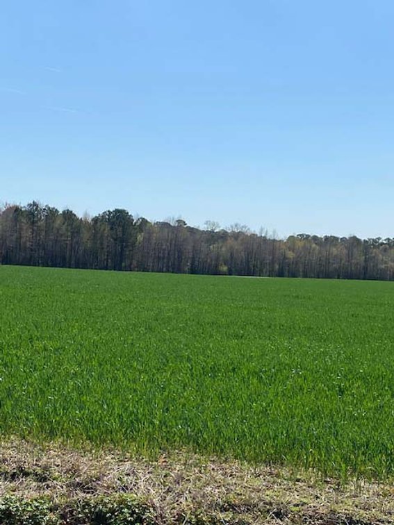 Image for Two Gorgeous Farms in Cumberland County with a Total of 193.27 Acres
